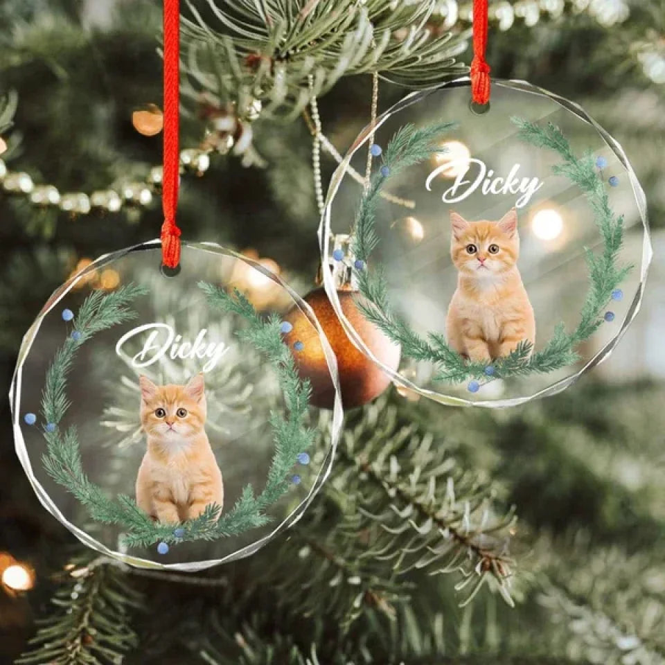 geckocustom-custom-cat-christmas-photo-for-cat-lovers-glass-circle-ornament-ho82-893056-36699094188209_600x